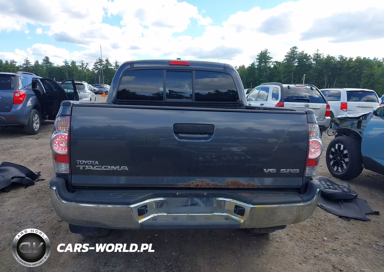 2009 Toyota Tacoma Base V6 VIN:3TMLU42N59M031823 - 16