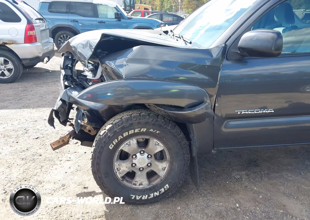 2009 Toyota Tacoma Base V6 VIN:3TMLU42N59M031823 - 19