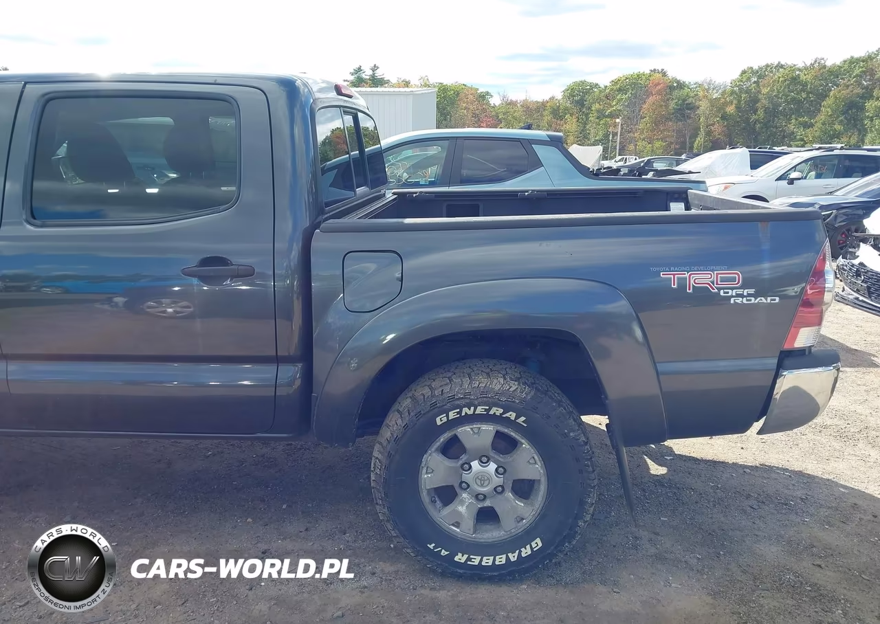 2009 Toyota Tacoma Base V6 VIN:3TMLU42N59M031823 - 20