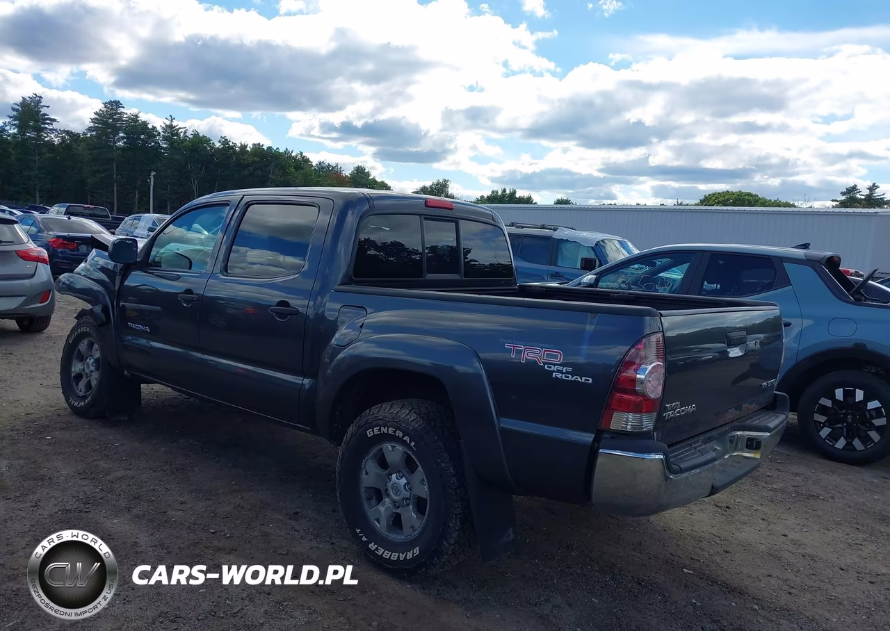 2009 Toyota Tacoma Base V6 VIN:3TMLU42N59M031823 - 3
