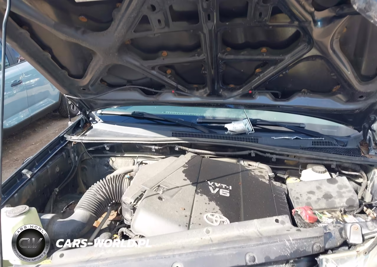2009 Toyota Tacoma Base V6 VIN:3TMLU42N59M031823 - 6