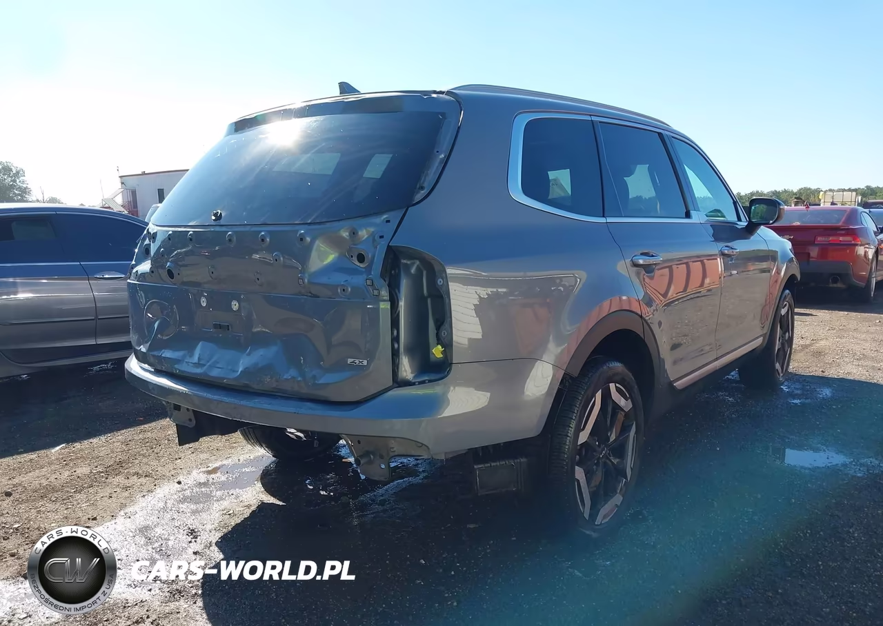 2023 Kia Telluride S VIN:5XYP6DGC7PG373335 - 4