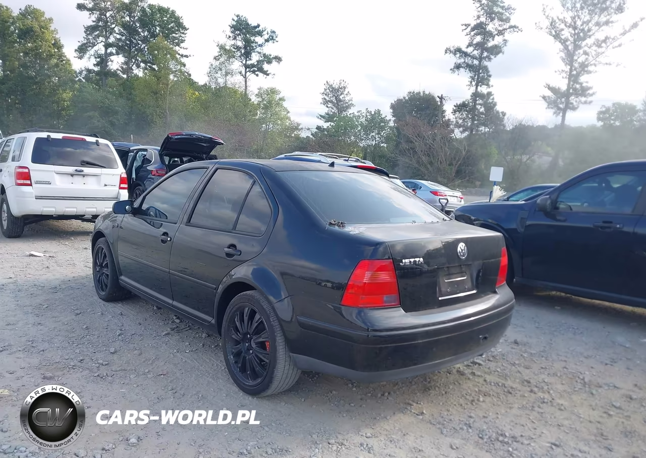 2003 Volkswagen Jetta Gl VIN:3VWRK69M03M078559 - 3