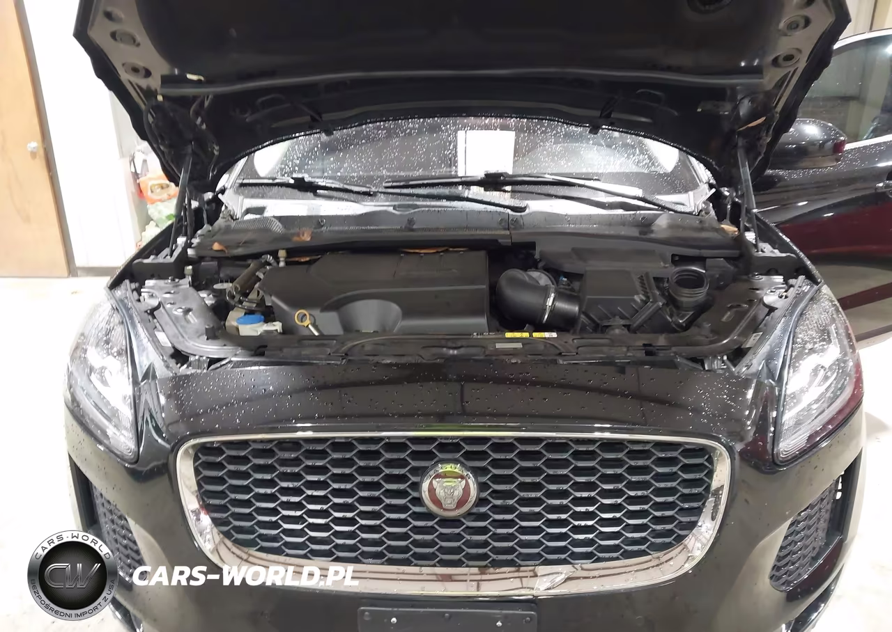 2018 Jaguar E-Pace R-Dynamic S-S VIN:SADFJ2FX1J1Z31050 - 10