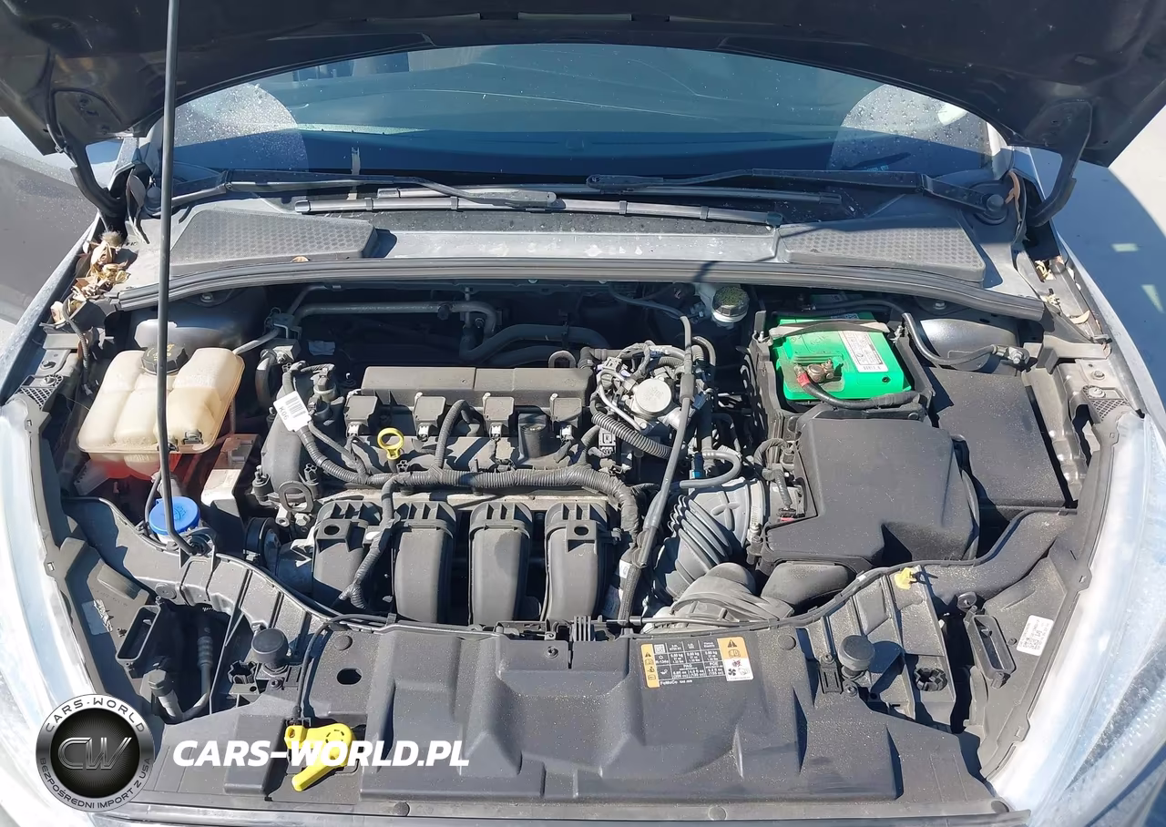 2016 Ford Focus Se VIN:1FADP3F20GL372220 - 10
