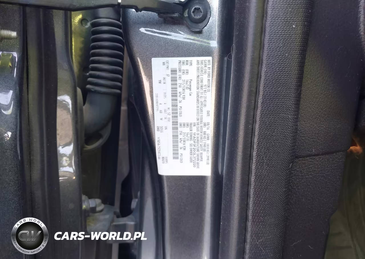 2016 Ford Focus Se VIN:1FADP3F20GL372220 - 9
