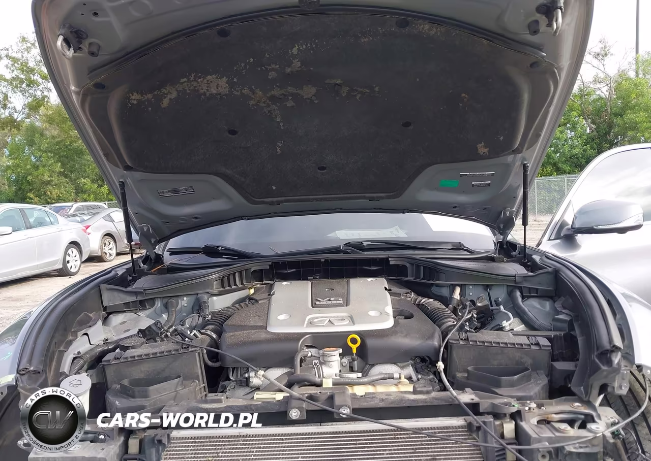 2019 Infiniti Q70 3.7 Luxe VIN:JN1BY1AP5KM505789 - 10