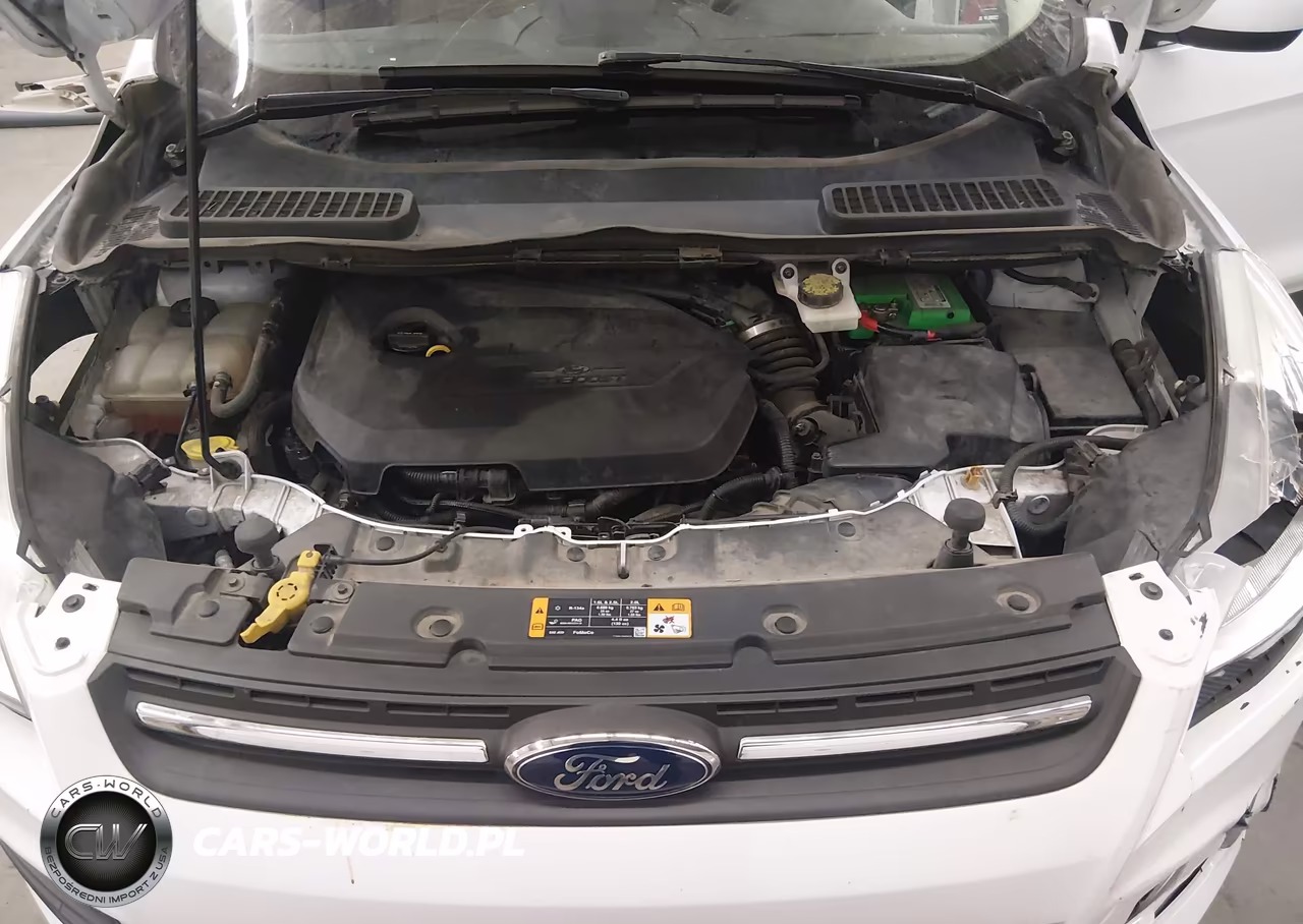 2014 Ford Escape Se VIN:1FMCU0GX1EUA22301 - 10