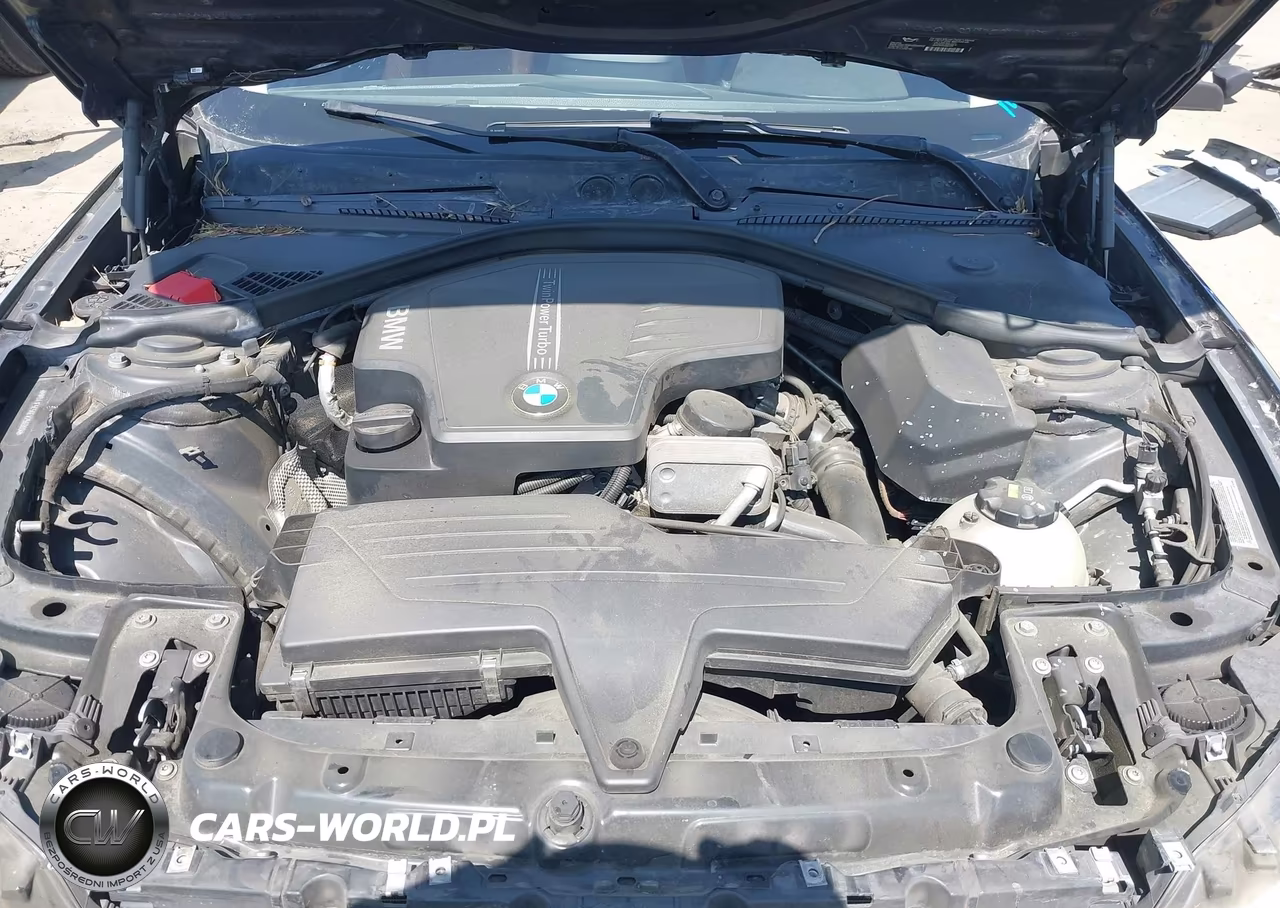 2014 BMW 228I VIN:WBA1F5C56EV256089 - 10