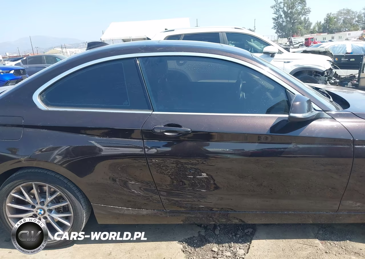 2014 BMW 228I VIN:WBA1F5C56EV256089 - 14