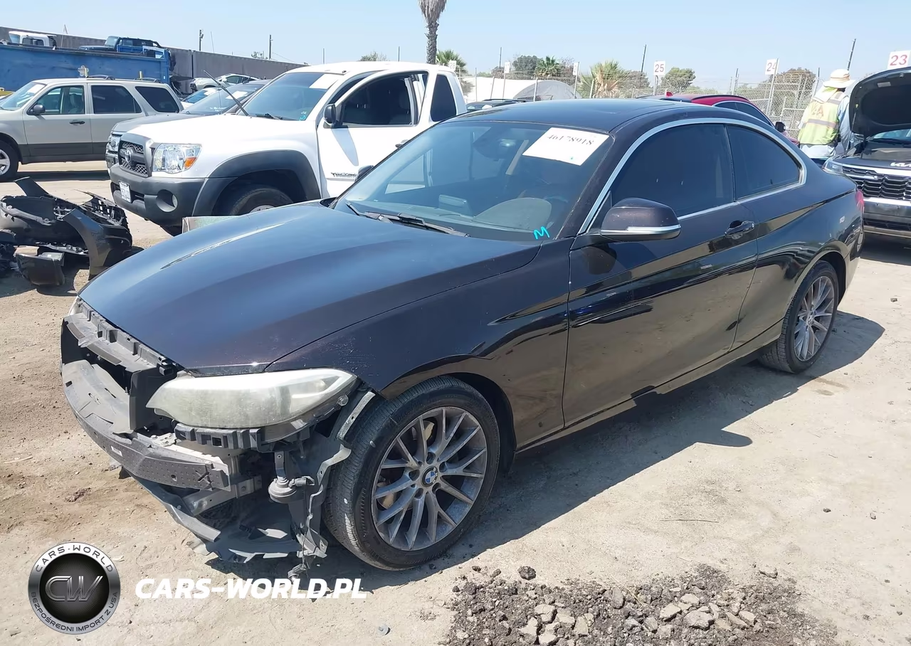 2014 BMW 228I VIN:WBA1F5C56EV256089 - 2