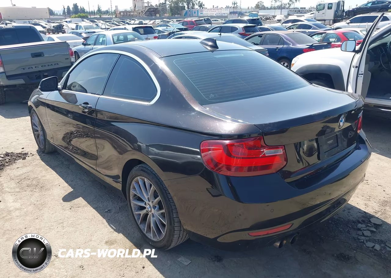 2014 BMW 228I VIN:WBA1F5C56EV256089 - 3