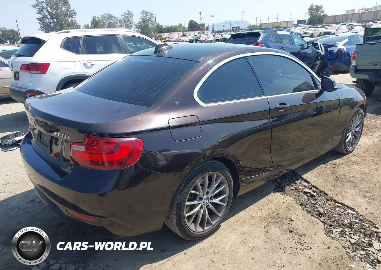 2014 BMW 228I VIN:WBA1F5C56EV256089 - 4
