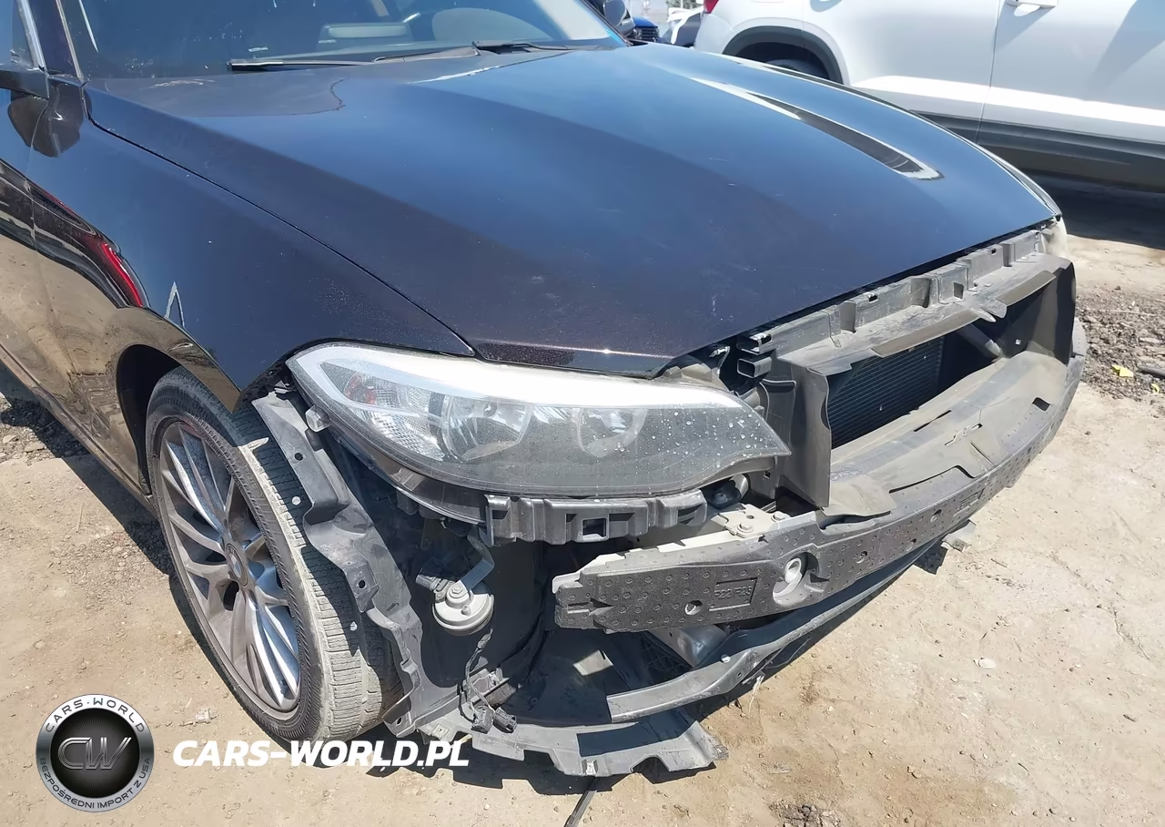 2014 BMW 228I VIN:WBA1F5C56EV256089 - 6