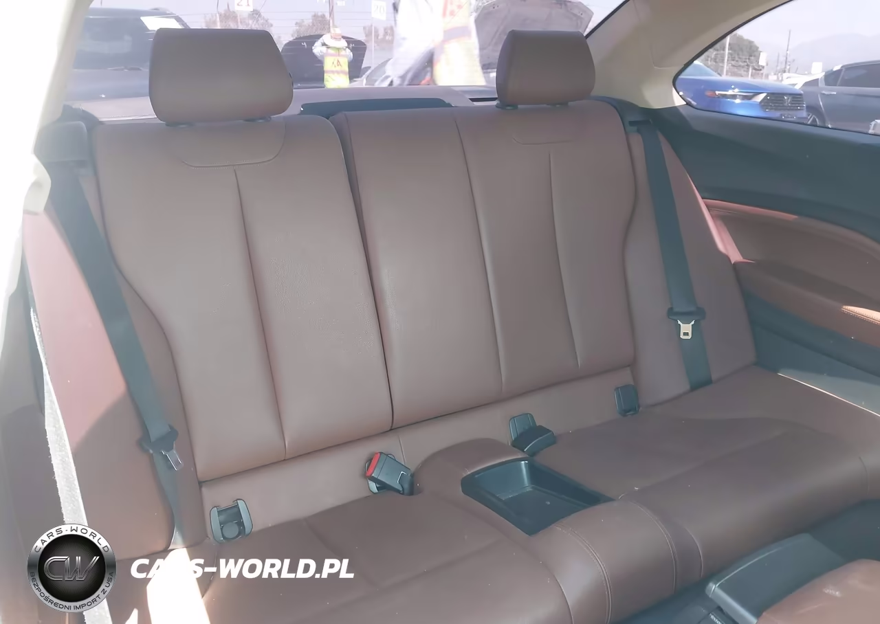 2014 BMW 228I VIN:WBA1F5C56EV256089 - 8
