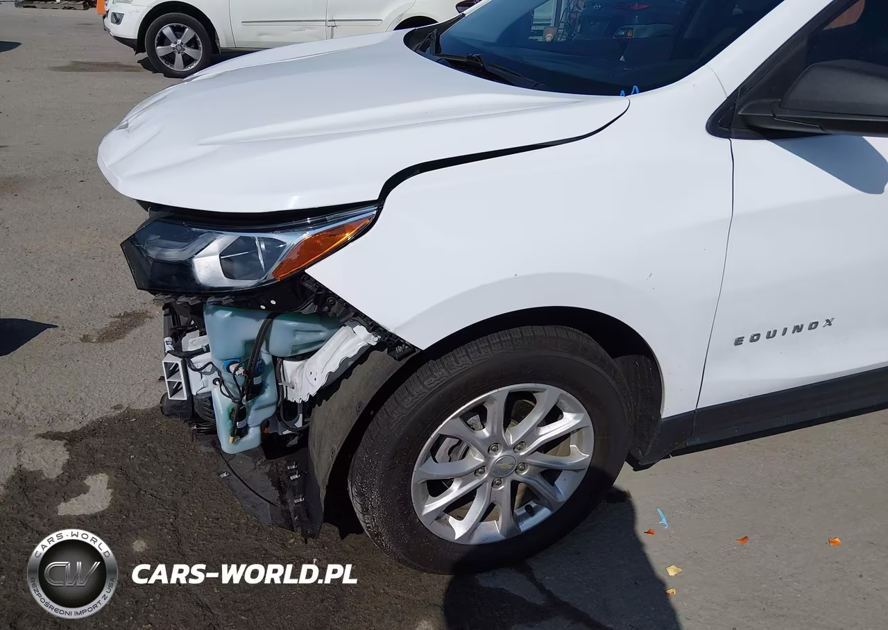 2020 Chevrolet Equinox Fwd Ls VIN:3GNAXHEV1LS513958 - 18