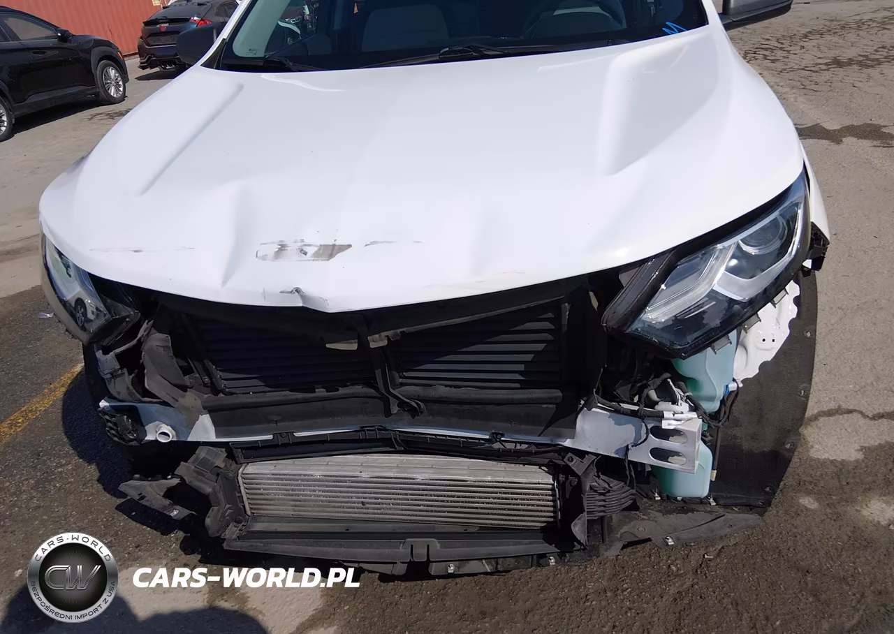 2020 Chevrolet Equinox Fwd Ls VIN:3GNAXHEV1LS513958 - 6