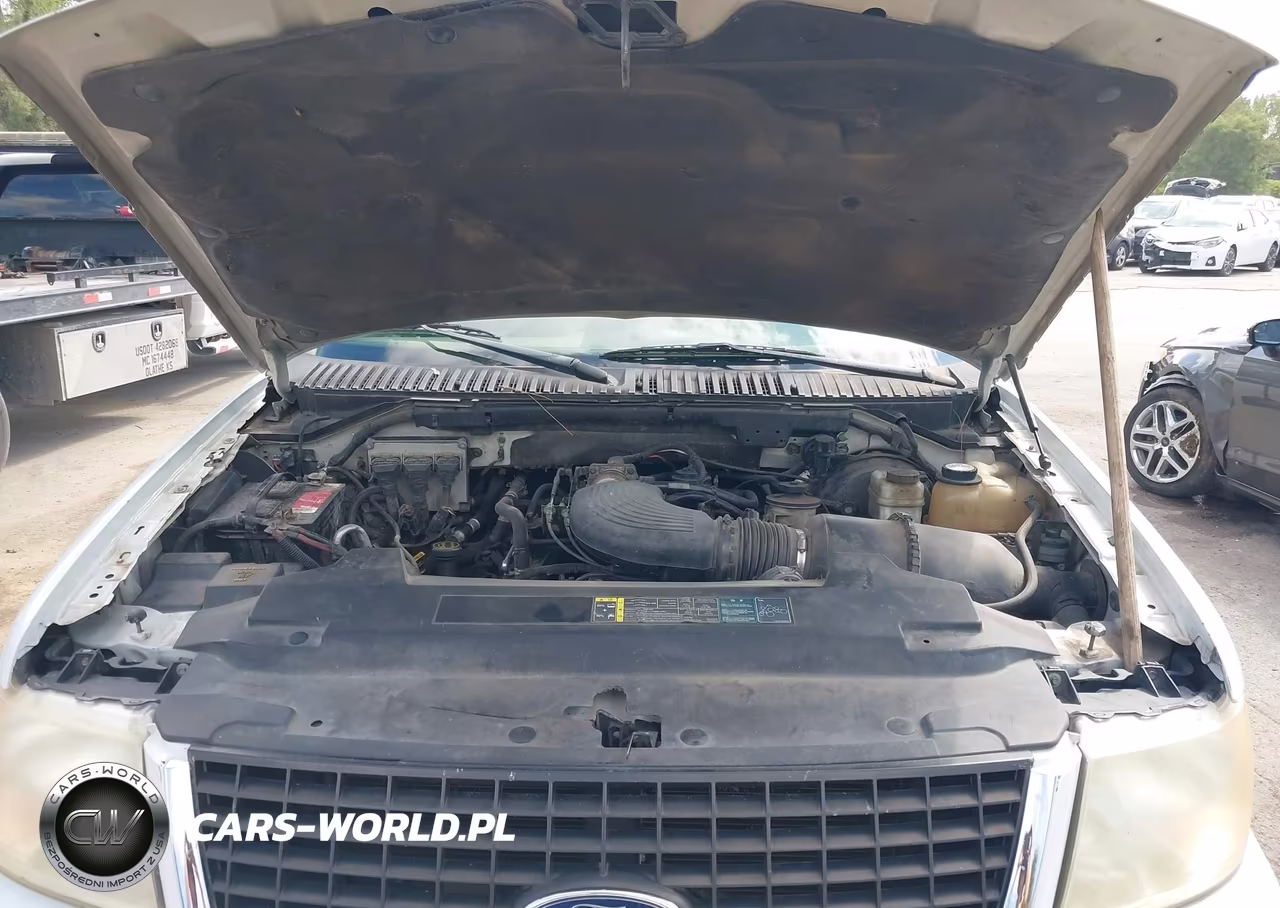 2004 Ford Expedition Eddie Bauer VIN:1FMFU18L04LA56278 - 10