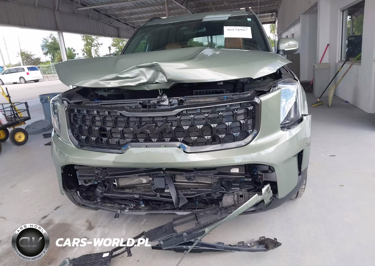 2025 Kia Telluride Ex X-Pro VIN:5XYP3DGC6SG637470 - 12