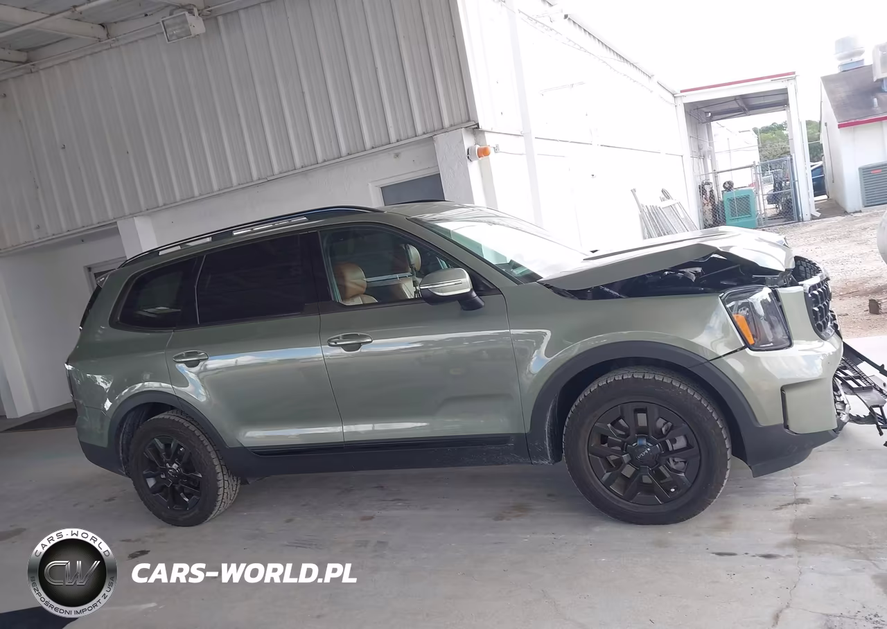 2025 Kia Telluride Ex X-Pro VIN:5XYP3DGC6SG637470 - 13