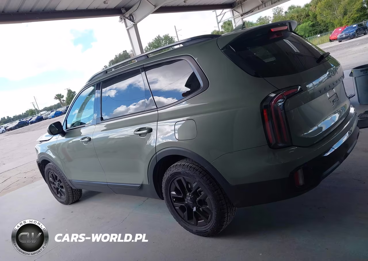 2025 Kia Telluride Ex X-Pro VIN:5XYP3DGC6SG637470 - 14