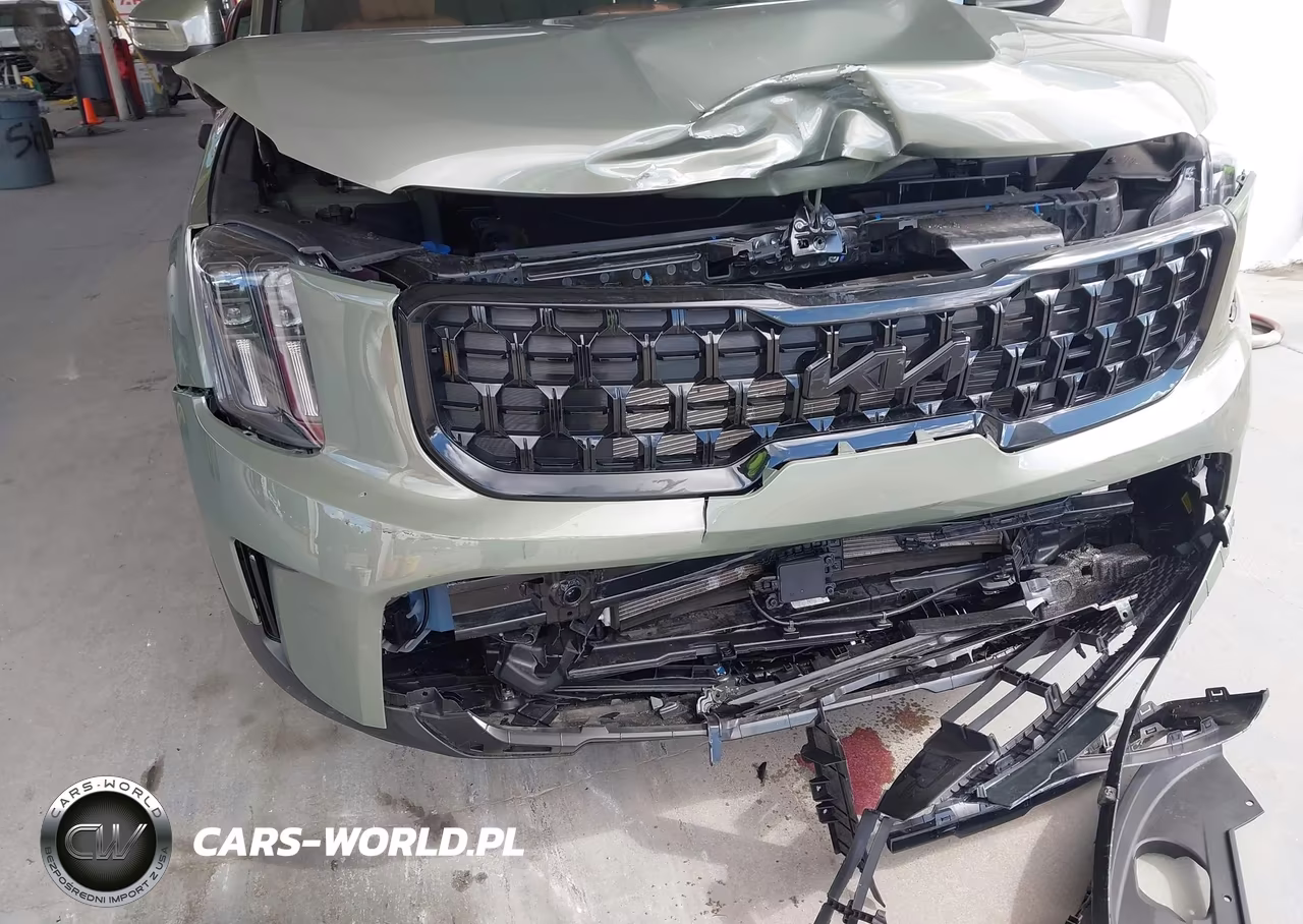 2025 Kia Telluride Ex X-Pro VIN:5XYP3DGC6SG637470 - 6