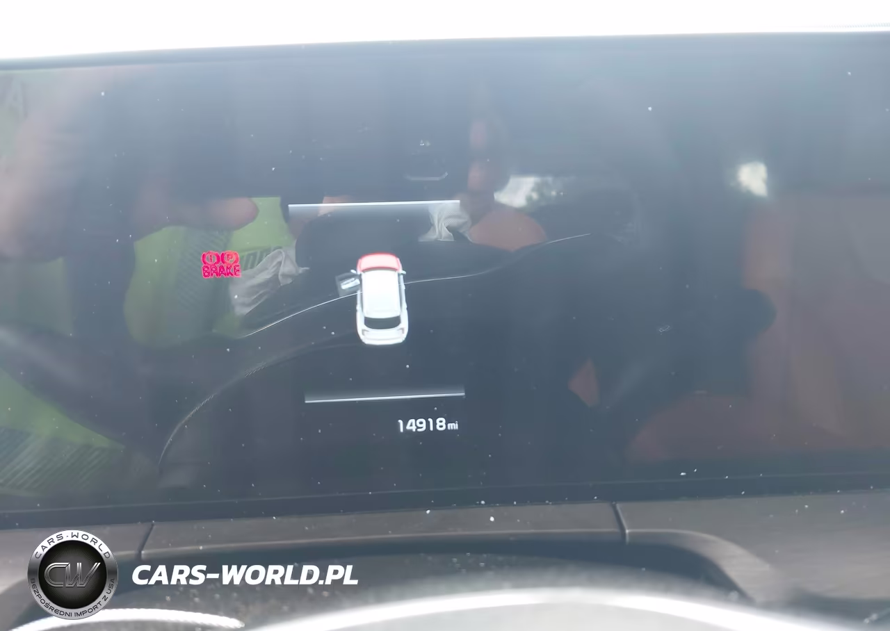2025 Kia Telluride Ex X-Pro VIN:5XYP3DGC6SG637470 - 7