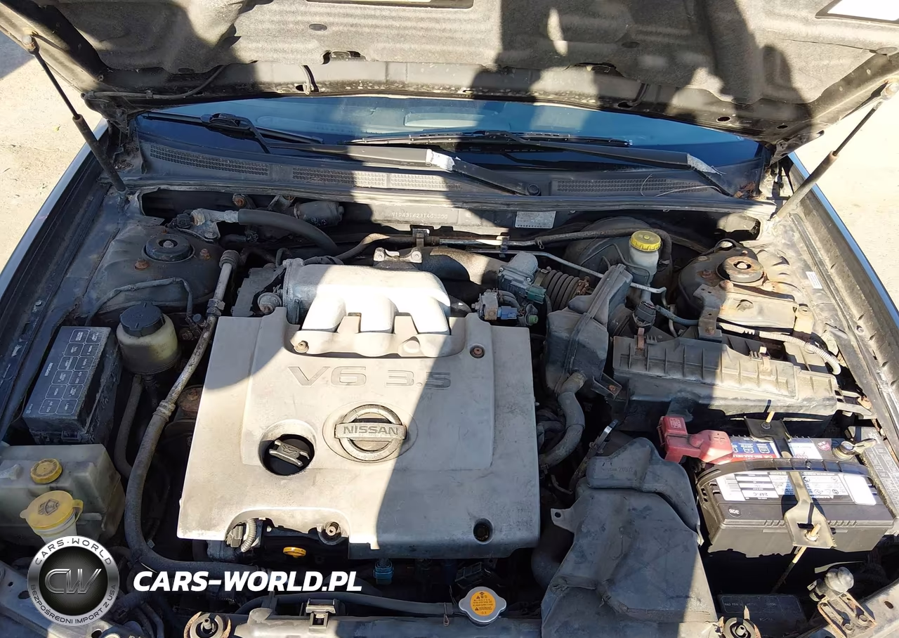2003 Nissan Maxima Se VIN:JN1DA31A23T403300 - 10