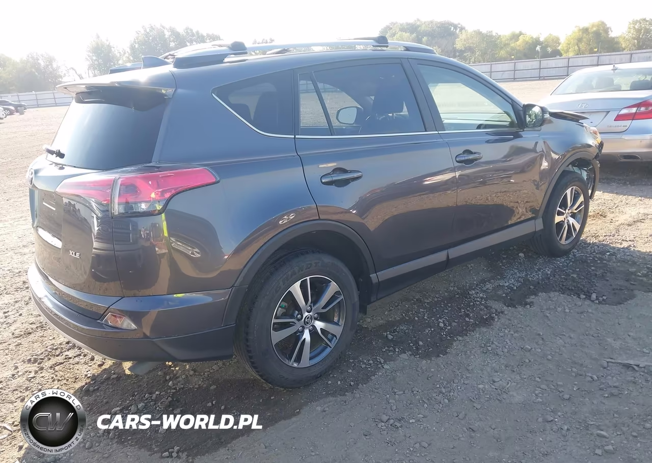 2017 Toyota Rav4 Xle VIN:JTMWFREV3HJ144455 - 4