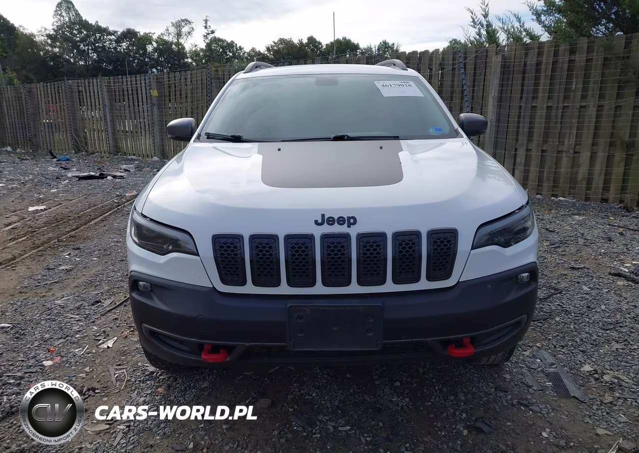 2020 Jeep Cherokee Trailhawk 4X4 VIN:1C4PJMBX1LD504616 - 12