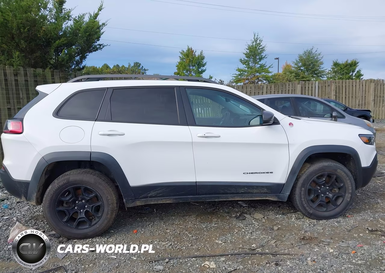 2020 Jeep Cherokee Trailhawk 4X4 VIN:1C4PJMBX1LD504616 - 13