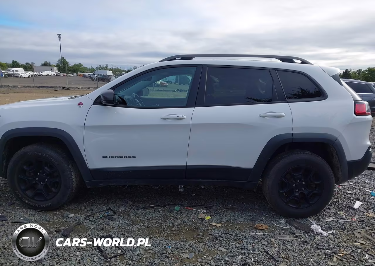 2020 Jeep Cherokee Trailhawk 4X4 VIN:1C4PJMBX1LD504616 - 14