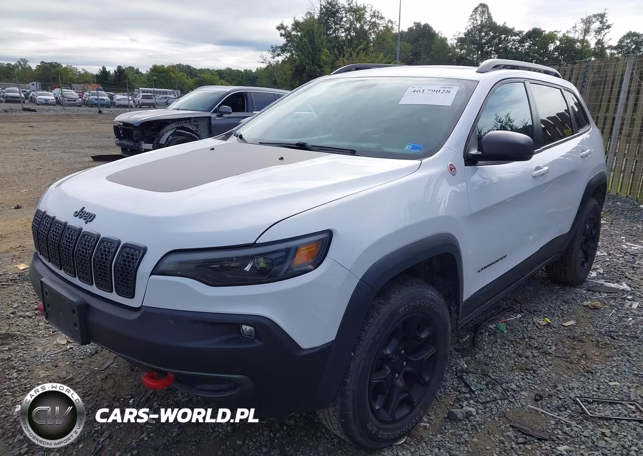 2020 Jeep Cherokee Trailhawk 4X4 VIN:1C4PJMBX1LD504616 - 2