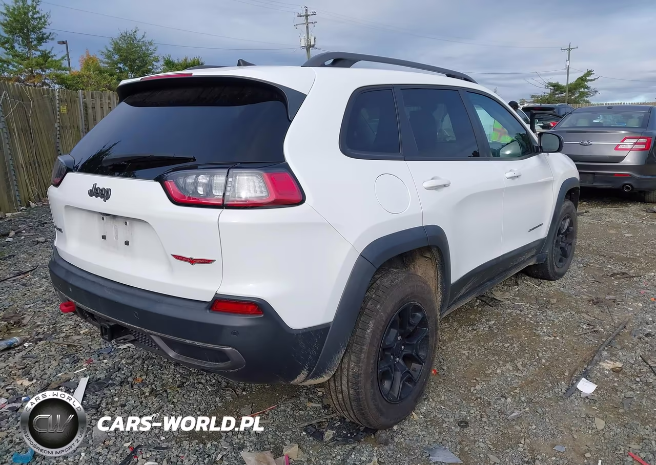 2020 Jeep Cherokee Trailhawk 4X4 VIN:1C4PJMBX1LD504616 - 4