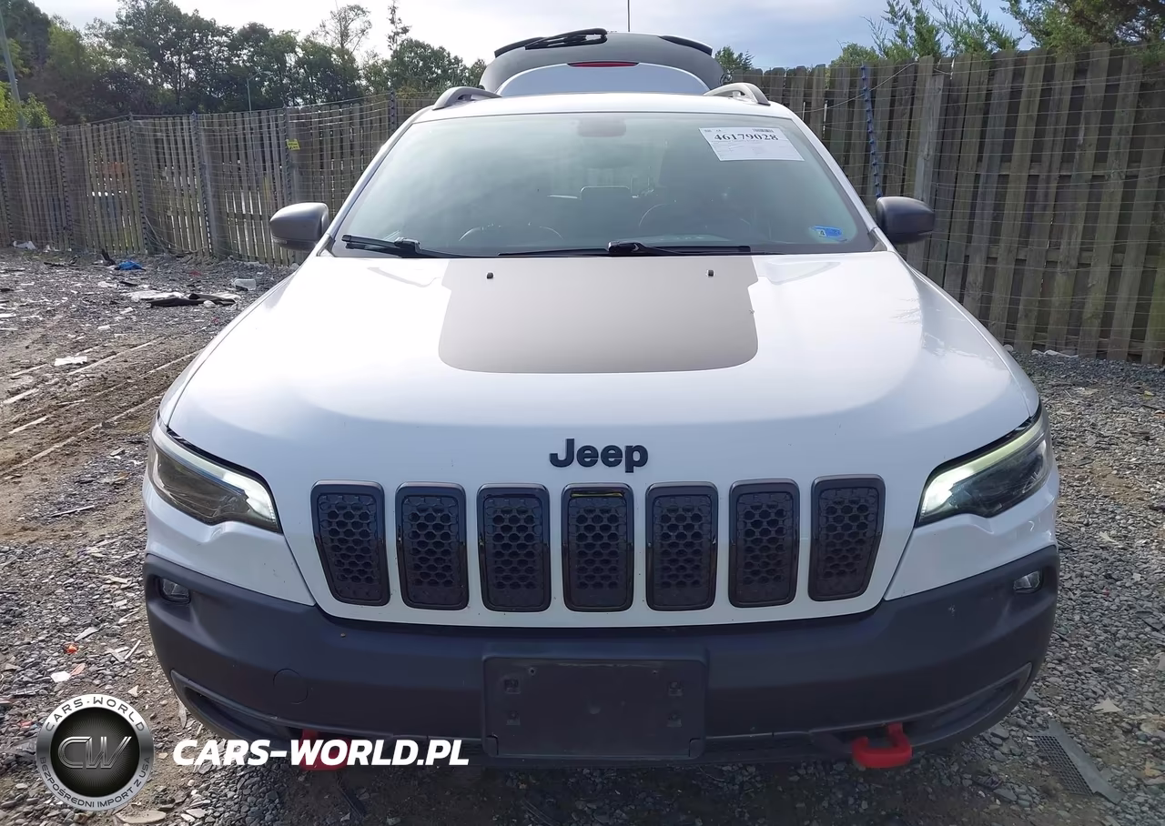 2020 Jeep Cherokee Trailhawk 4X4 VIN:1C4PJMBX1LD504616 - 6
