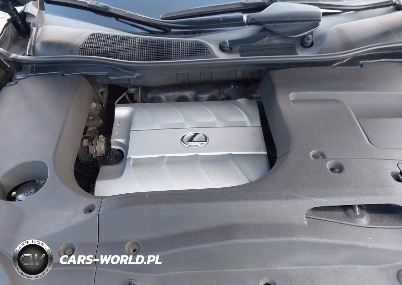 2010 Lexus Rx 350 VIN:2T2BK1BA2AC075784 - 10