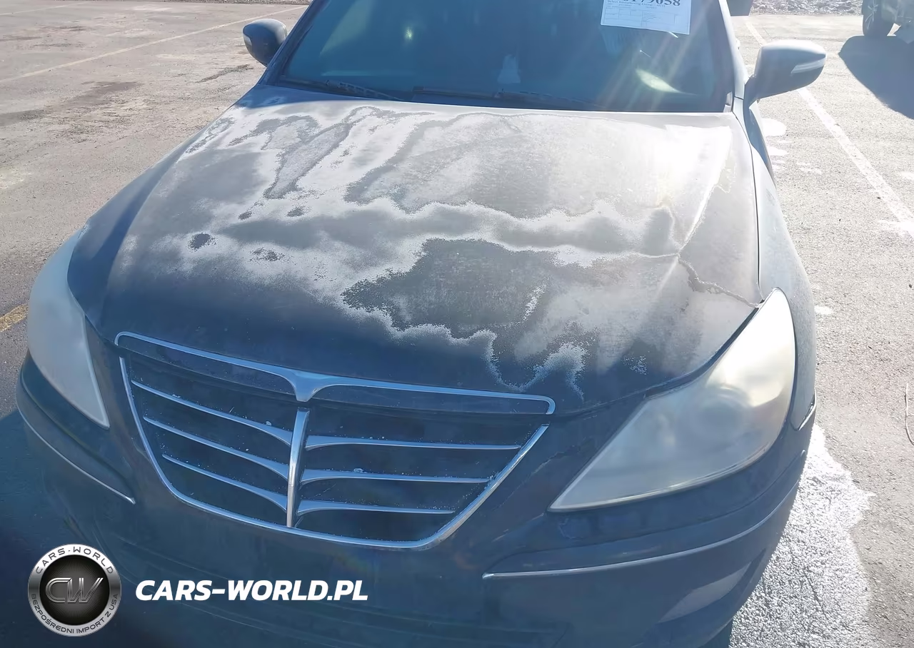 2009 Hyundai Genesis 4.6 VIN:KMHGC46FX9U050561 - 6