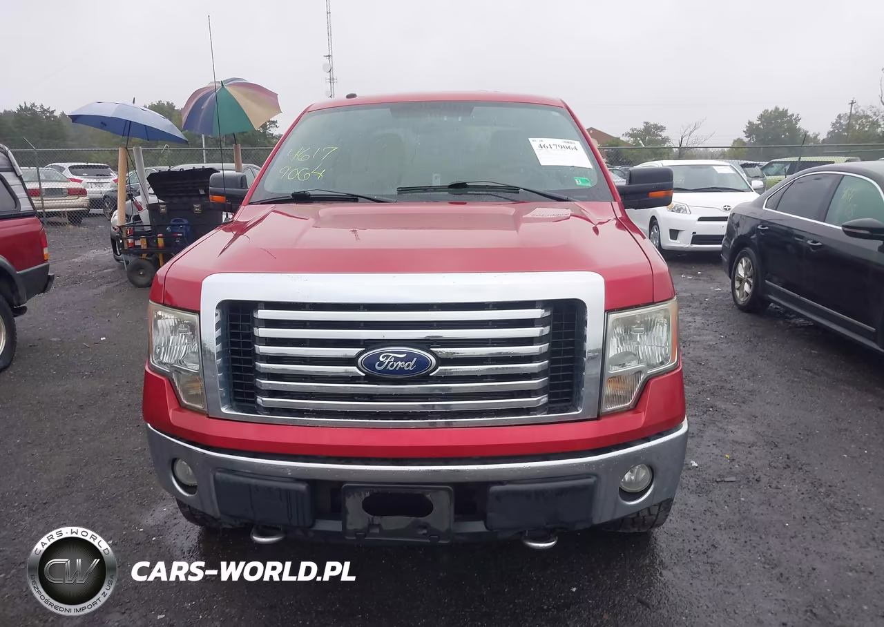 2010 Ford F-150 Fx4-Harley-Davidson-King Ranch-Lariat-Platinum-Xl-Xlt VIN:1FTFW1EV4AFD00304 - 11