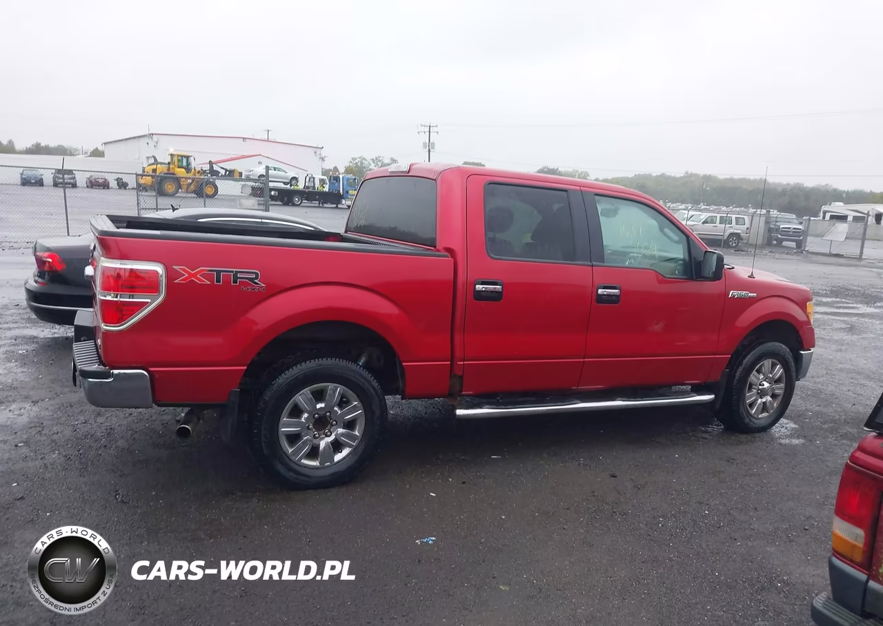 2010 Ford F-150 Fx4-Harley-Davidson-King Ranch-Lariat-Platinum-Xl-Xlt VIN:1FTFW1EV4AFD00304 - 12