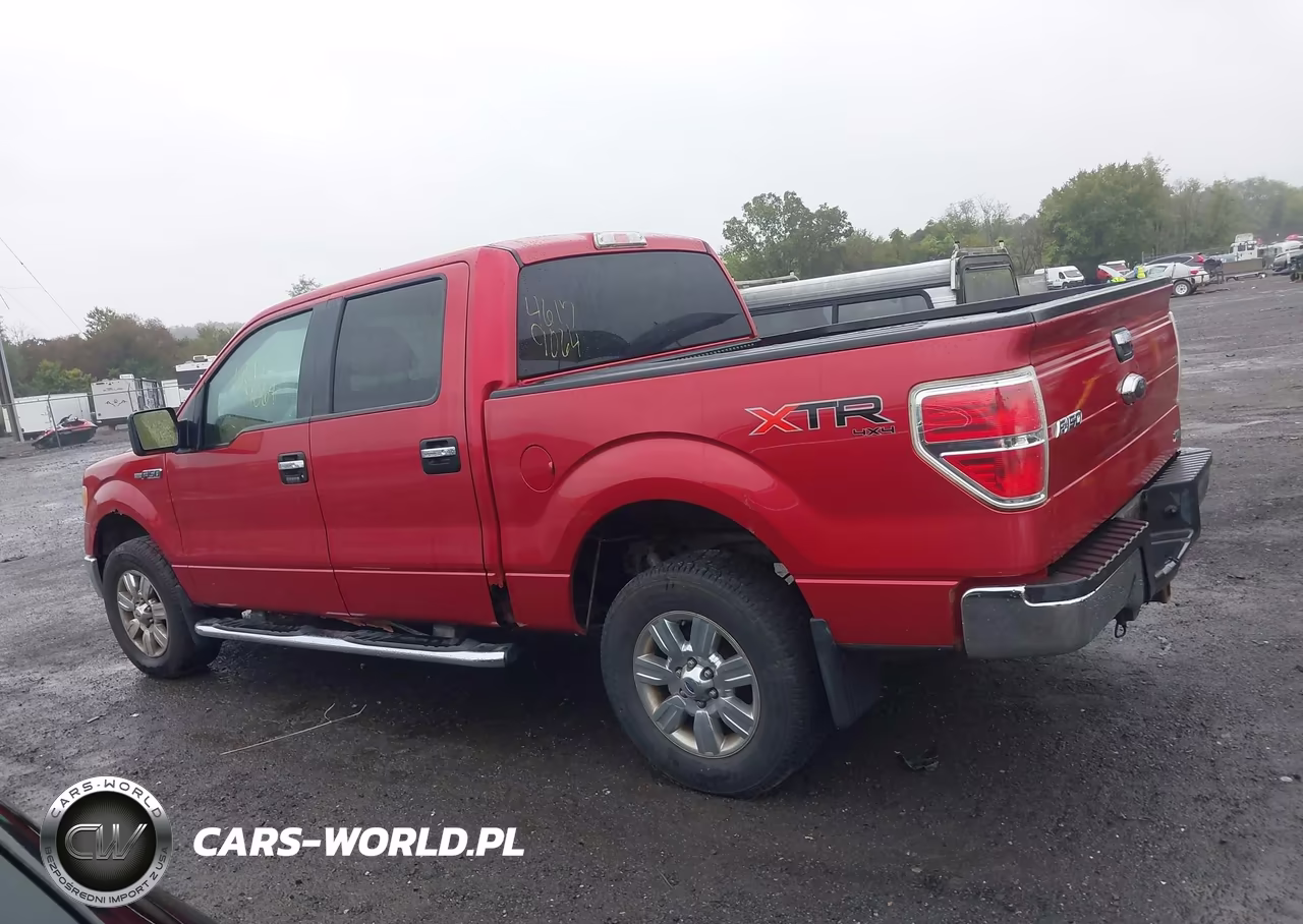 2010 Ford F-150 Fx4-Harley-Davidson-King Ranch-Lariat-Platinum-Xl-Xlt VIN:1FTFW1EV4AFD00304 - 13