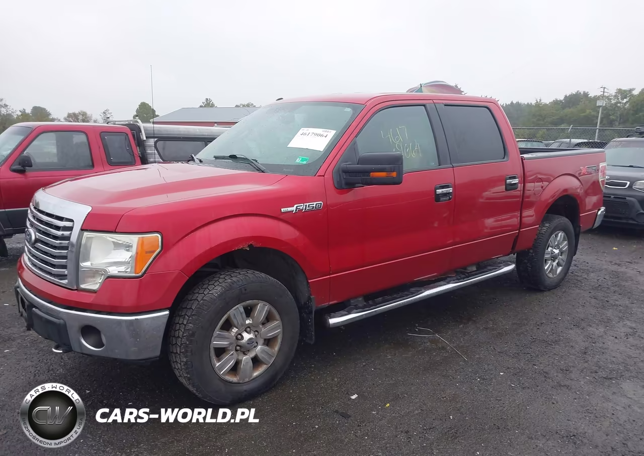 2010 Ford F-150 Fx4-Harley-Davidson-King Ranch-Lariat-Platinum-Xl-Xlt VIN:1FTFW1EV4AFD00304 - 2