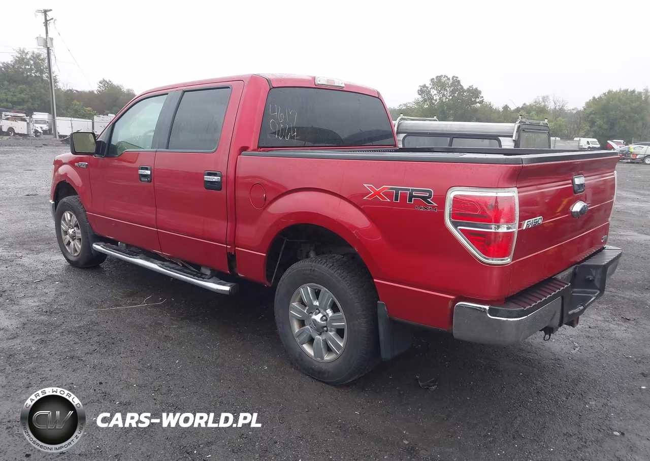 2010 Ford F-150 Fx4-Harley-Davidson-King Ranch-Lariat-Platinum-Xl-Xlt VIN:1FTFW1EV4AFD00304 - 3