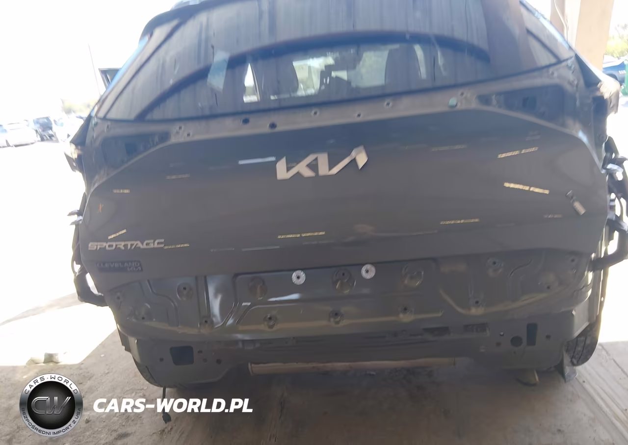 2024 Kia Sportage X-Line VIN:5XYK6CDF1RG172357 - 19