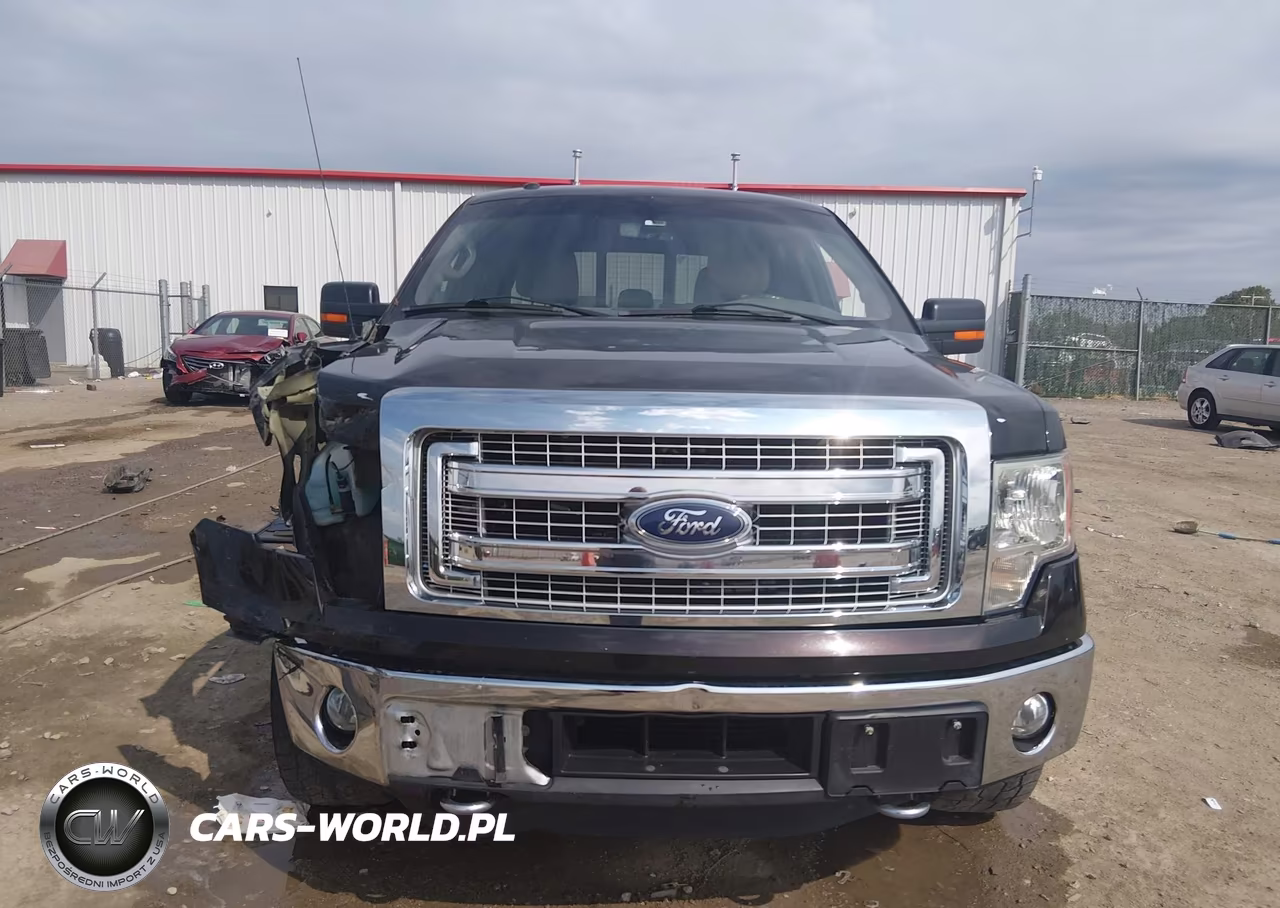2014 Ford F-150 Xlt VIN:1FTFW1ET6EKE90733 - 12