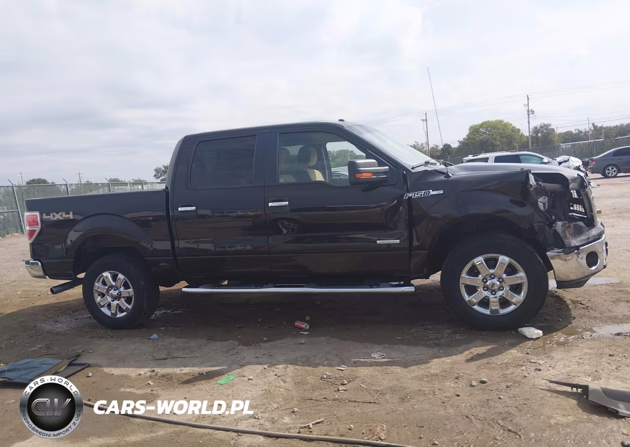 2014 Ford F-150 Xlt VIN:1FTFW1ET6EKE90733 - 13