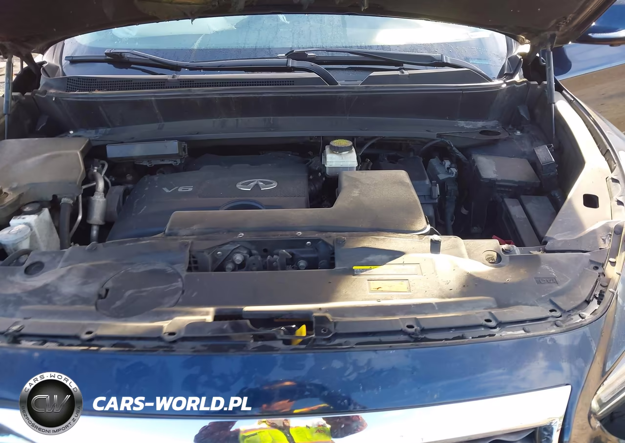 2020 Infiniti Qx60 Luxe Awd VIN:5N1DL0MM2LC516025 - 10