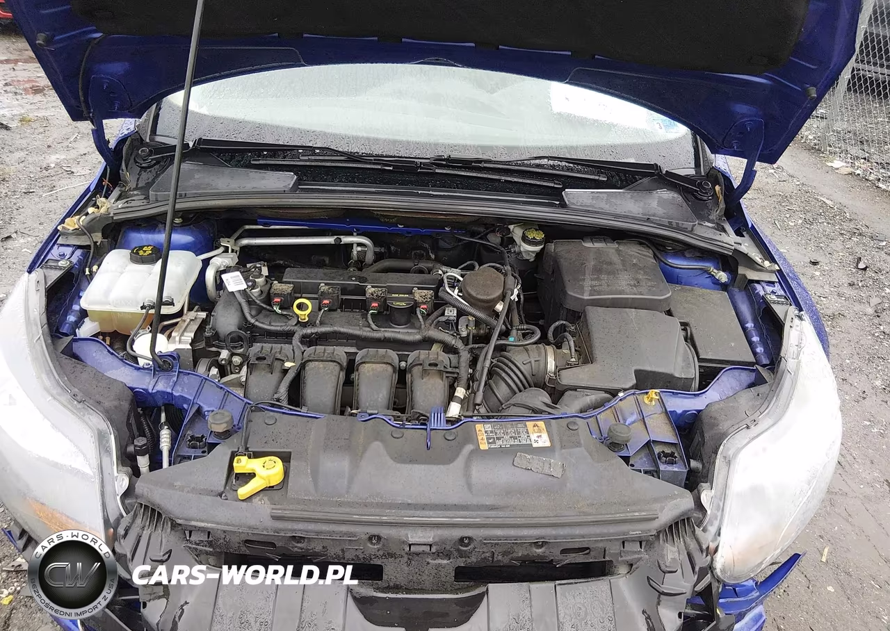 2014 Ford Focus Titanium VIN:1FADP3N24EL285662 - 10