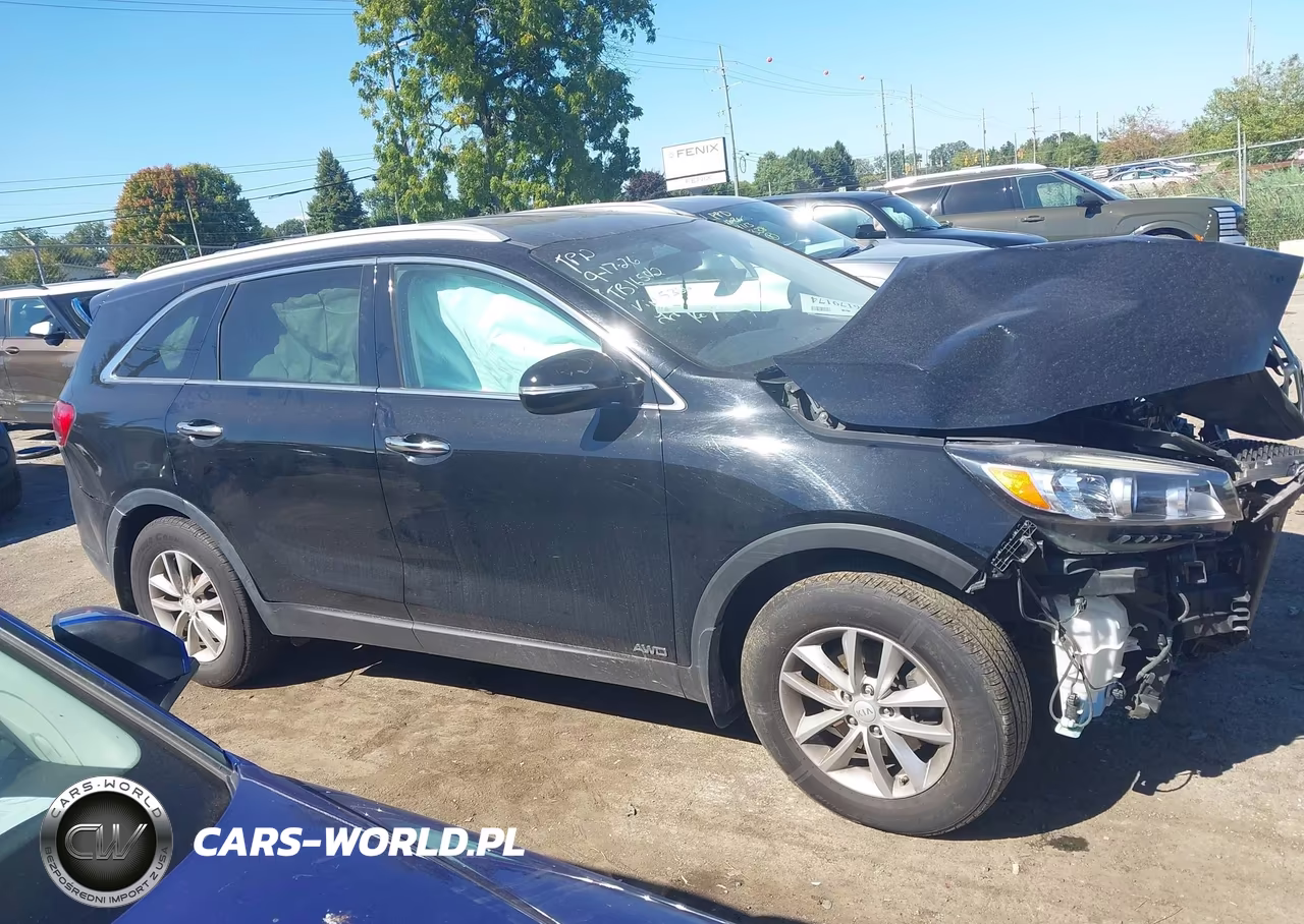 2018 Kia Sorento 2.4L Lx VIN:5XYPGDA39JG425366 - 13