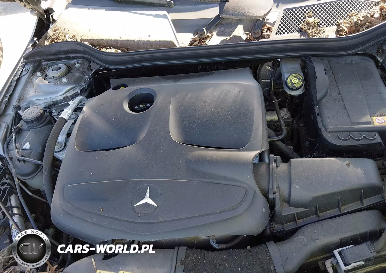 2014 Mercedes-Benz Cla 250 VIN:WDDSJ4EBXEN152455 - 10