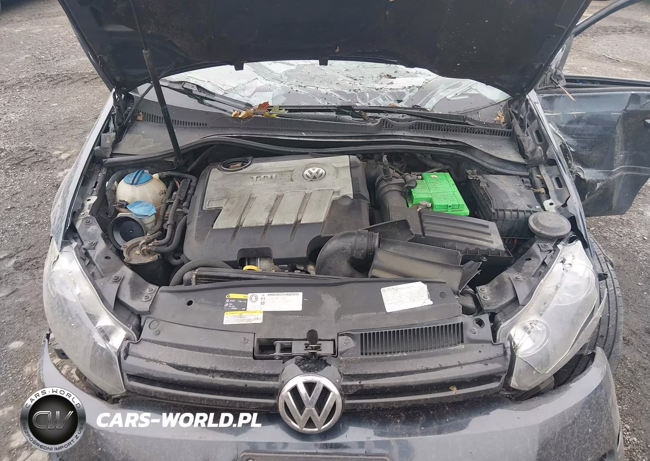 2014 Volkswagen Golf 2.0L Tdi VIN:WVWNM7AJ0EW003530 - 10